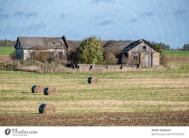 Old gray building in the middle of a mountain of hay. Hay bales. Latvia Field House (Residential Structure) forsake sb./sth. Agriculture Bale of straw Landscape