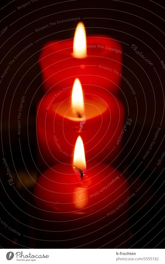 Three red candles Candlelight shoulder stand Light Flame Candle flame Burn Christmas & Advent three Row Moody Pensive Romance Hope Decoration
