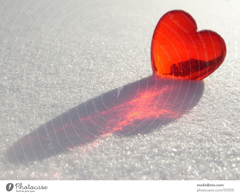 loves in the snow Sugar Confectioner`s sugar Winter Cold Red Purple White Pure Glimmer Exterior shot Symbols and metaphors Kitsch Relationship Round Longing