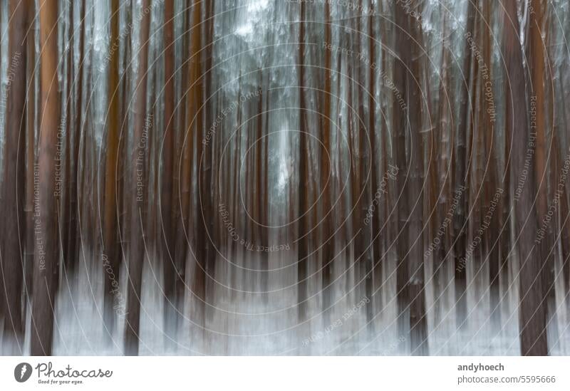 Winter mood in the coniferous forest in motion blur abstract adventure Art beautiful blurry cold concept creative design dream effect end environment exit
