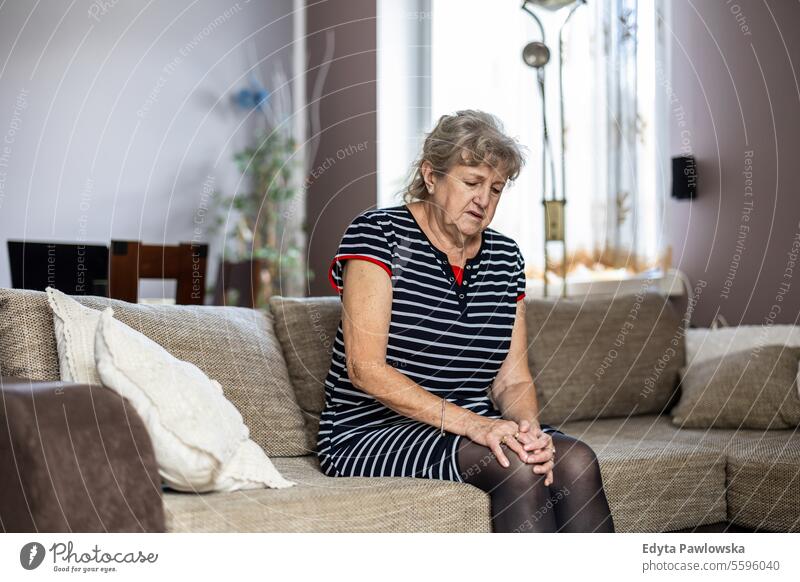 Elderly woman sitting on sofa at home and suffering from knee pain real people senior mature female Caucasian elderly house old aging domestic life grandmother