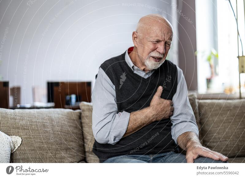 Senior man suffering from chest pain while sitting on sofa at home real people senior senior adult mature male Caucasian elderly house old aging domestic life