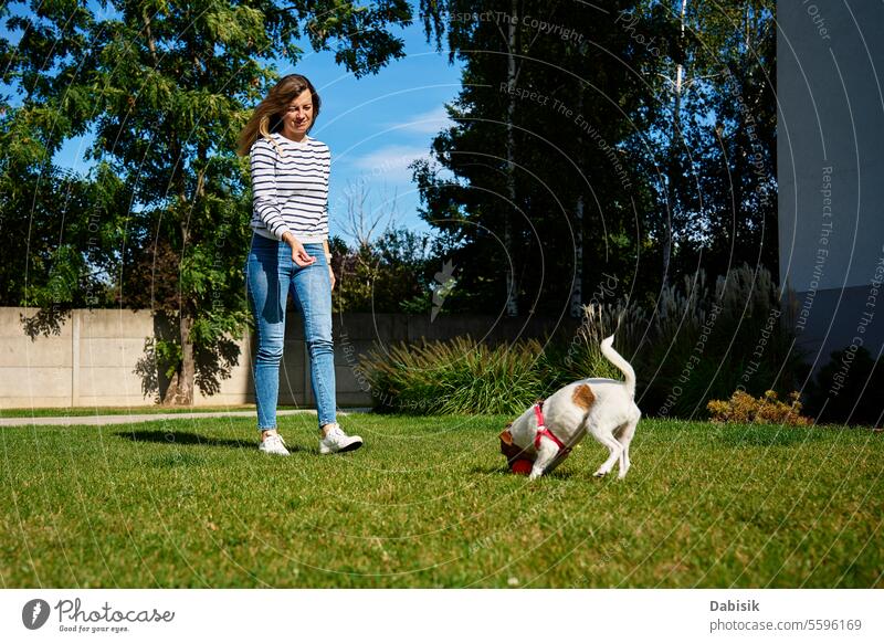 Woman walking with dog outdoors woman green trainer ball pet summer friendship nature running love animal happy lifestyle training exercise person funny field