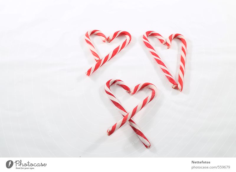 sugar hearts Food Candy Valentine's Day Mother's Day Christmas & Advent Heart Red White Emotions Happy Love Infatuation Colour photo Studio shot Copy Space left