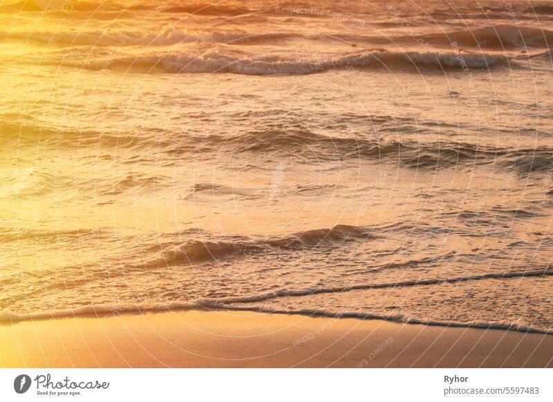 Sunset above sea. Riplpe sea ocean water surface with small waves. Ocean water foam splash washing sandy beach outdoor view sunny splashing sunrise relax