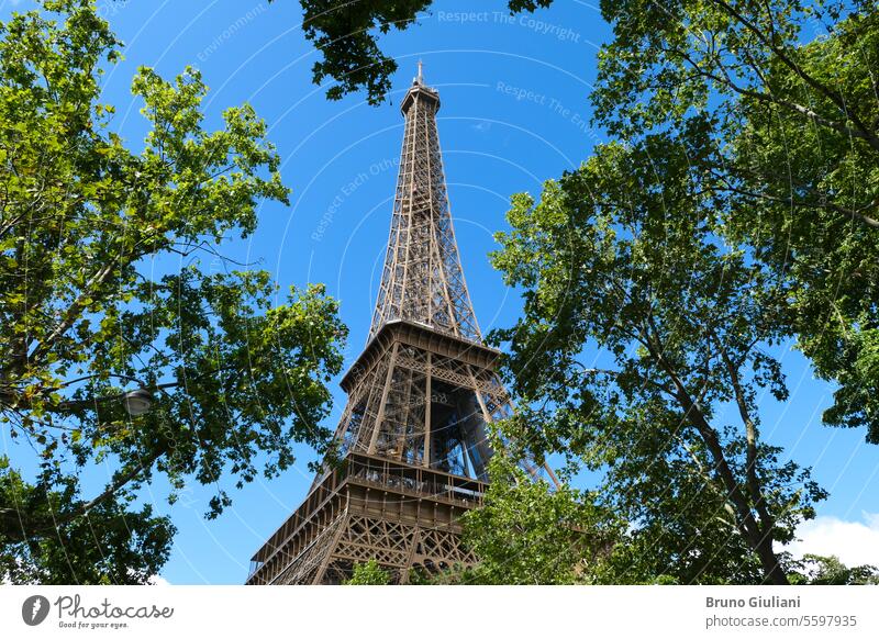 View on historic monument with frame of vegetation. Eiffel tower by day. eiffel tower international landmark europe famous place french culture architecture