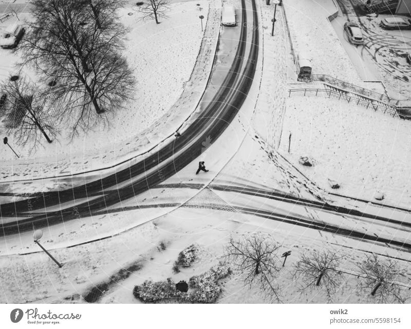 Gäweida Street Snow Exterior shot Black & white photo Sidewalk Curve Winter Frost Ice Detail Peaceful Bird's-eye view Bushes Idyll Cold Fresh Town Banister