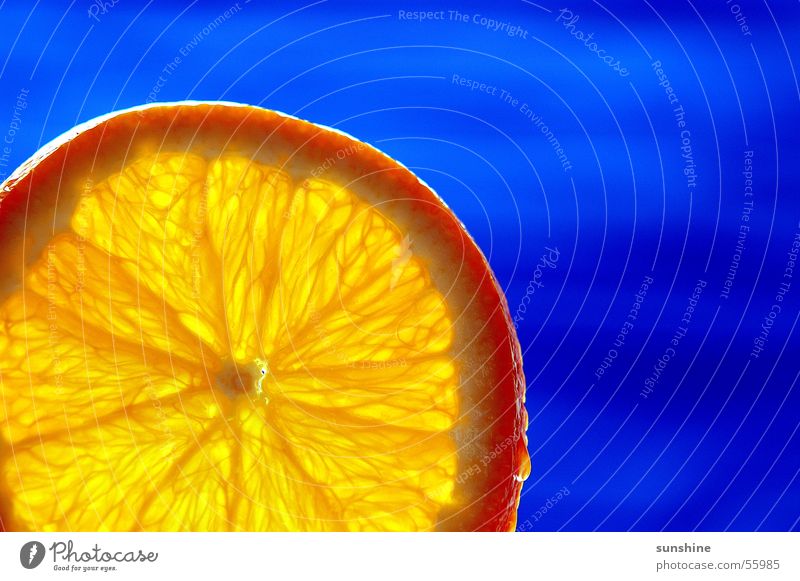 blue orange Citrus fruits Summer Cocktail Orange Blue Fruit