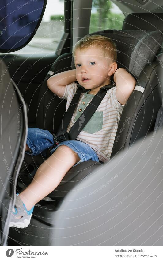 Kid boy sitting on backseat with seat belts in car during daytime kid preschool door cute passenger child ride innocent adorable childhood vehicle transport