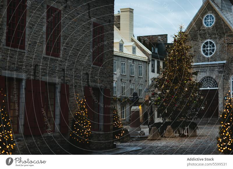 Historic Street Decorated with Christmas Lights in Quebec, Canada historic street christmas lights cobblestone festive glowing rustic buildings dusk sky