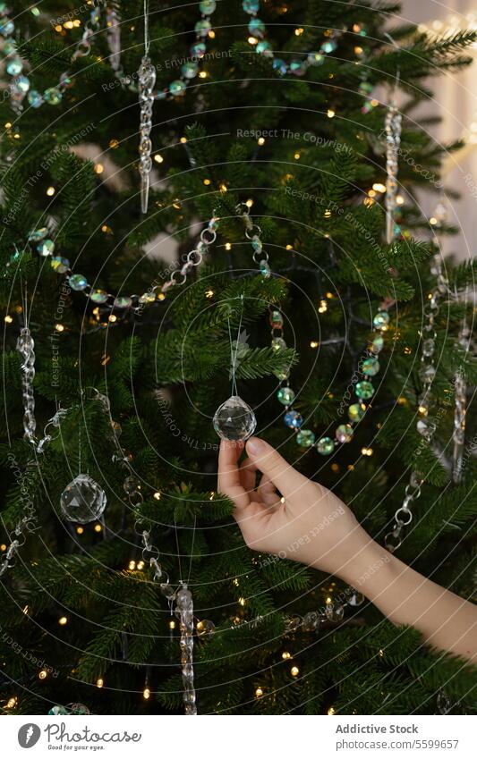 Hand Decorating a Festive Christmas Tree christmas decoration tree bauble hand festive ornament holiday light bead shiny adornment tradition celebrate winter