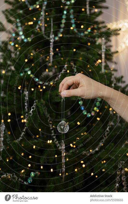 Hand Adorning Christmas Tree With Festive Ornament christmas ornament decoration tree festive holiday hand hang adorn tradition celebration bauble sparkle light