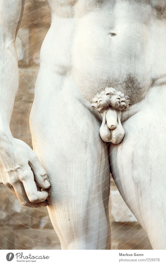 trifles Human being Masculine Hand Stomach Legs Sex Penis Italy Statue Renaissance King David michelangelo Florence Genitalia Marble Detail Colour photo