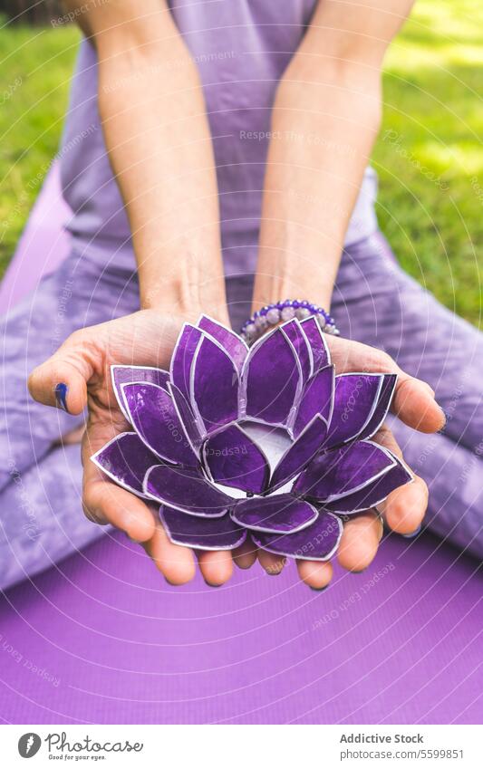 Close up of woman's hands offering a purple glass lotus. Yoga and meditation concept. Close-up aquatic backyard balance beautiful beauty calm calmness close up