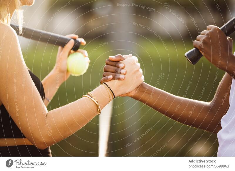 Tennis players shaking hands at net active active lifestyle activity amateur athlete ball beautiful beautiful women beauty black cheerful congratulating court