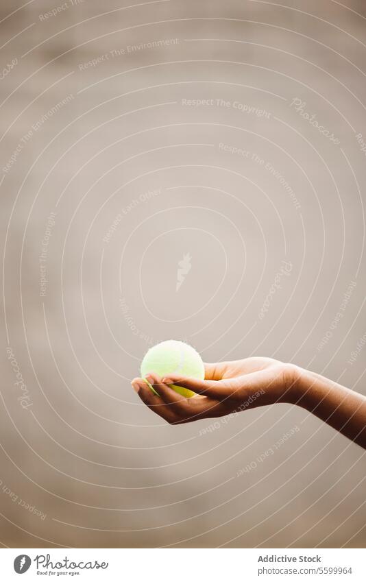 Hand holding a tennis ball active lifestyle activity amateur athlete beautiful beautiful women cheerful competition court enjoyment exercise exercising females
