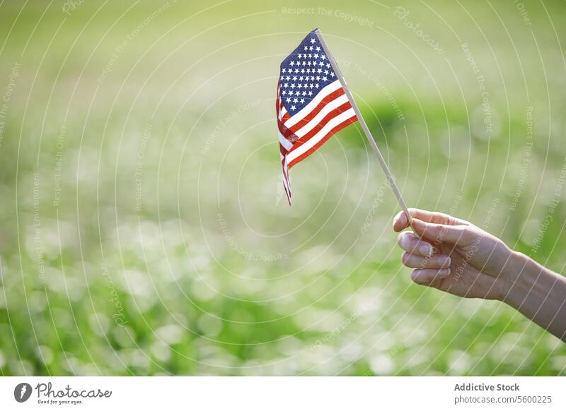 Woman holding US flag USA America symbolism hand outdoors summer spring grassland independence Independence Day holiday celebration even tradition freedom