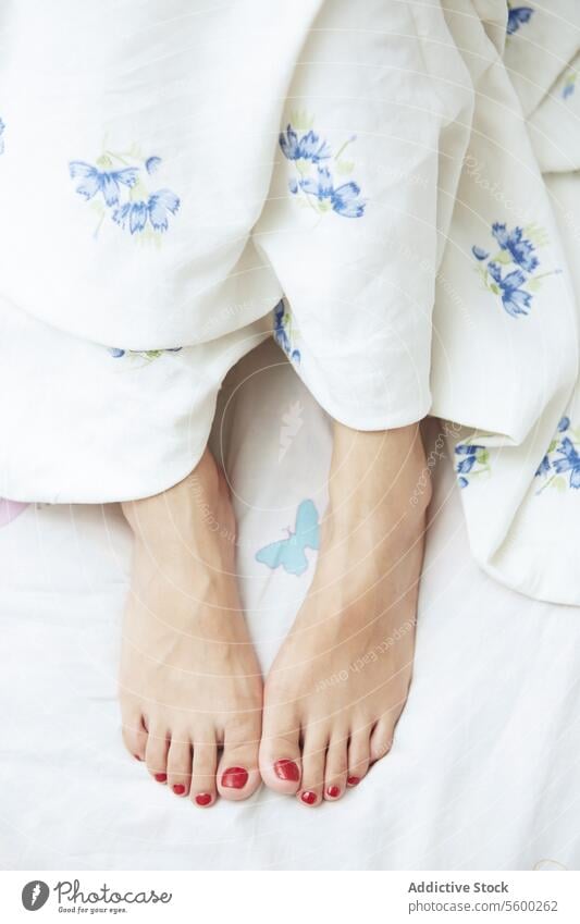 Feet of woman Foot leg finger pedicure body part limb close-up bedroom linen sleep resting human lifestyle purity serenity domestic home indoors blanket laying