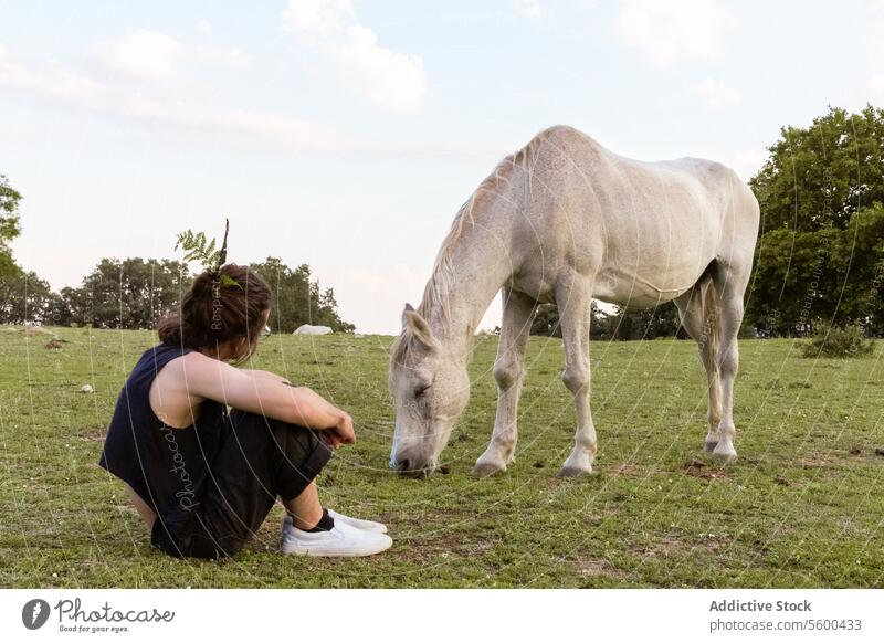 Person sitting on the grass looking at a horse person seated white grazing field trees twilight nature contemplation peaceful outdoor equine animal pasture