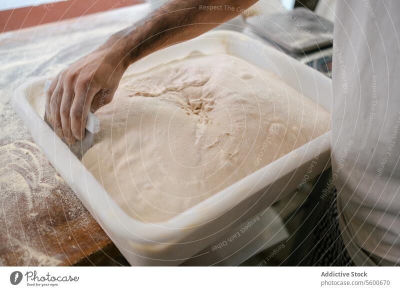 Baker taking dough out of a box close-up unrecognizable hand scapula baker flour bakery preparation bread fermentation yeast fresh oven kitchen man male person