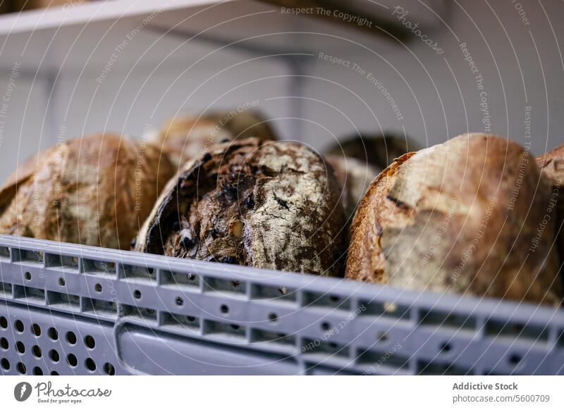 Lots of bread in a basket food bakery background tasty traditional fresh meal delicious wheat white brown grains crust breakfast baked loaf assortment flour