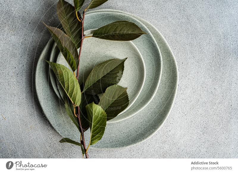 Cherry leaves on plates in a minimalist table setting cherry leaf branch ceramic tableware foliage green texture natural decor botanical styled presentation