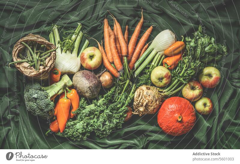 Various harvest vegetables from garden: green beans, pumpkin, apples, broccoli, carrots, kale, fennel, paprika. Top view various top view diet vegetarian autumn