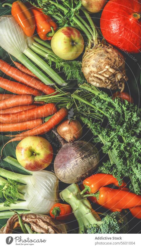 Various harvest vegetables from garden: green beans, pumpkin, apples, broccoli, carrots, kale, fennel, paprika. Top view various top view diet vegetarian autumn