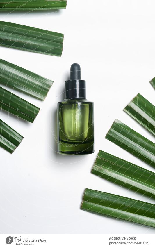 Green glass cosmetic bottle with pipete at white background with green palm leaves. Skin care with moisturizing face serum. Top view with copy space. skin care