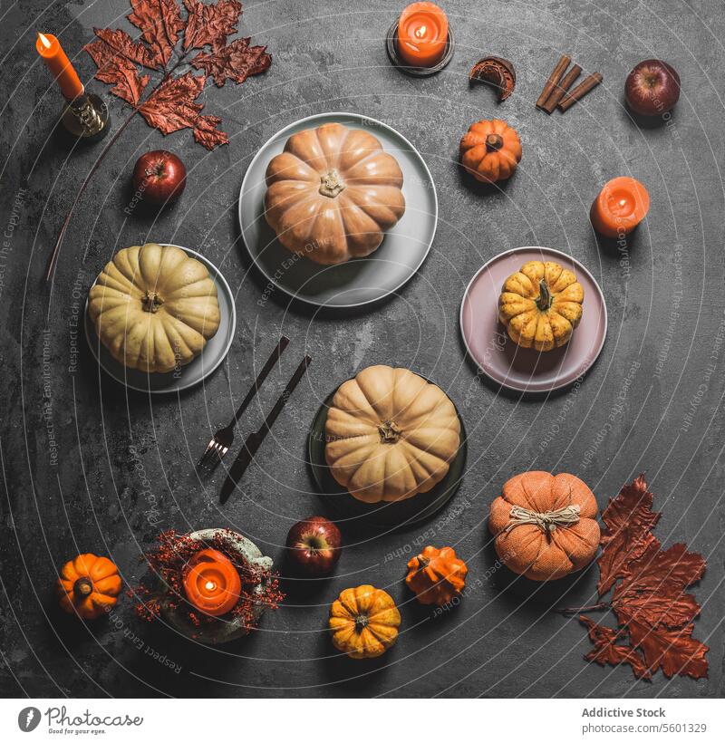 Autumn table setting with various pumpkins, plates, cutlery and fall leaves at grey background. Top view autumn top view backdrop decoration food october orange