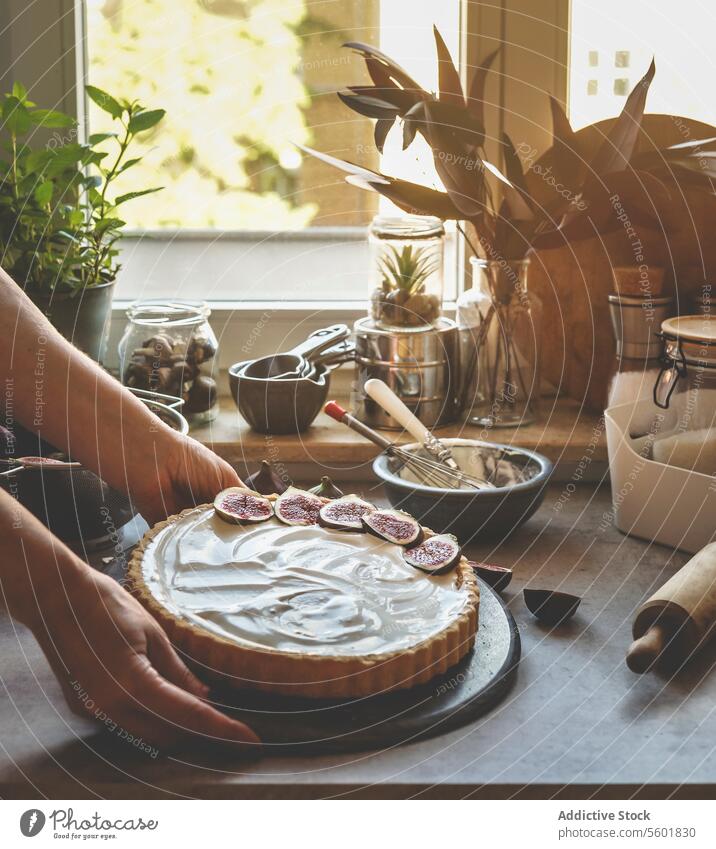 Woman hand holding homemade cheesecake with figs at kitchen background with window and natural light. Baking delicious cake at home with fruit and cream. Front view.