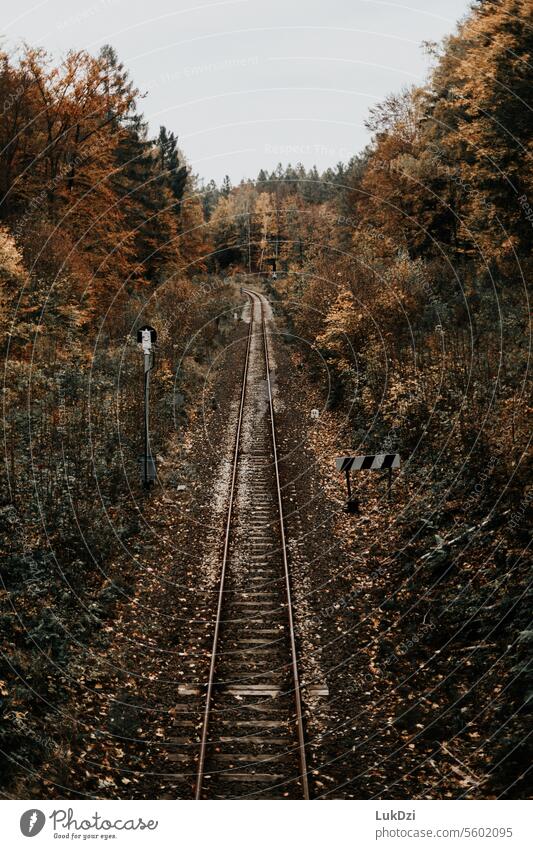 Old railway track in the autumn forest Transport Train travel Exterior shot Deserted Railroad tracks Track Means of transport Traffic infrastructure