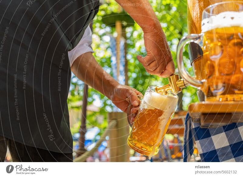 Bavarian man in apron is pouring a large lager beers in tap from wooden beer barrel in the beer garden. Background for Oktoberfest or Wiesn, folk or beer festival