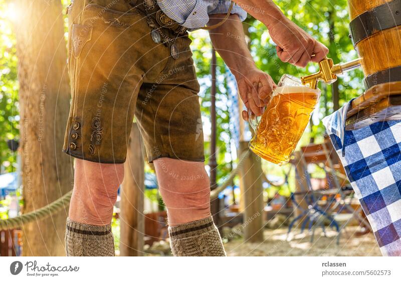 Bavarian man in leather trousers is pouring a large lager beer in tap from wooden beer barrel in the beer garden. Background for Oktoberfest or Wiesn, folk or beer festival