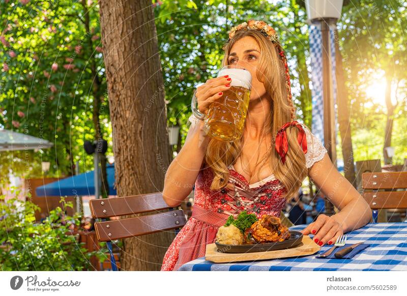 Woman wearing Dirndl sitting in Bavarian beer garden and drinking beer with traditional Bavarian cuisine with Schweinshaxe, roasted ham hock on a table dinner