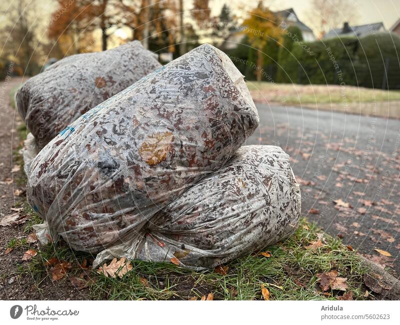 Bags filled with fall leaves lie on the roadside Autumn foliage Sack Autumn leaves Street Leaf bags Dispose of city cleaning Autumnal Nature Transience Roadside