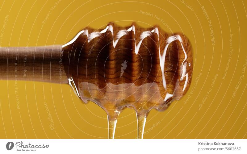 Organic honey flows from wooden dipper stick on warm yellow background. Apiary closeup dessert food golden healthy ingredient liquid sweet bee drop fresh