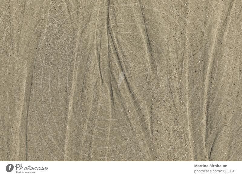 Natural lines in the sand on Edisto island, South Carolina natural sandy wave travel background tropical dry dune texture nature summer sea pattern wavy seabed
