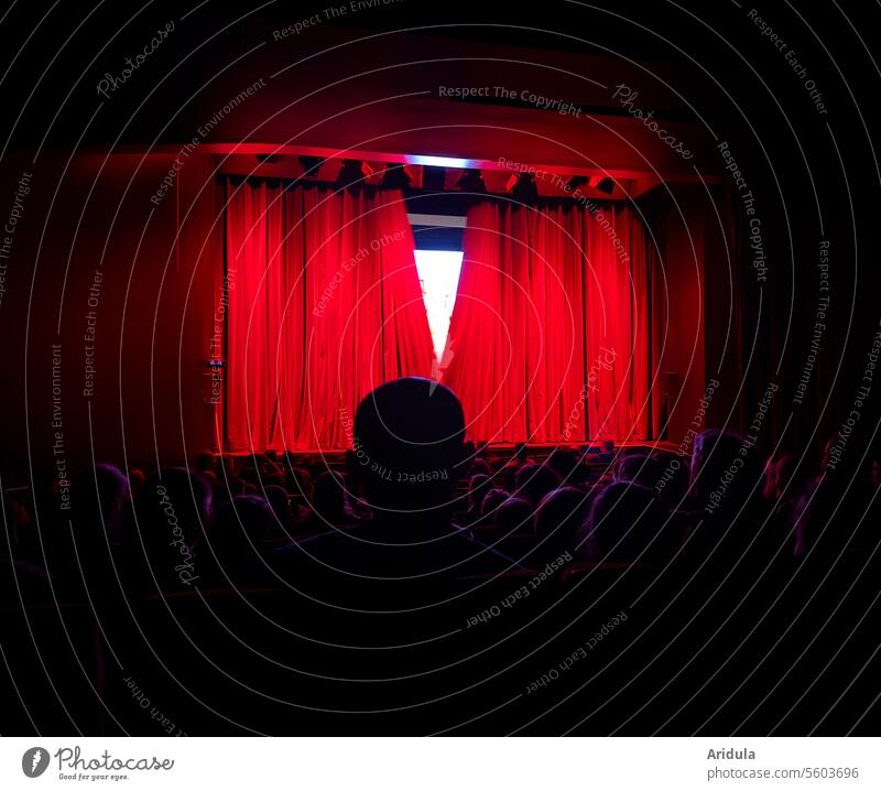 Raise the curtain! Theatre Drape Red Stage Velvet Event Culture Shows people spectators Silhouette Entertainment Interior shot Light Floodlight Art drama