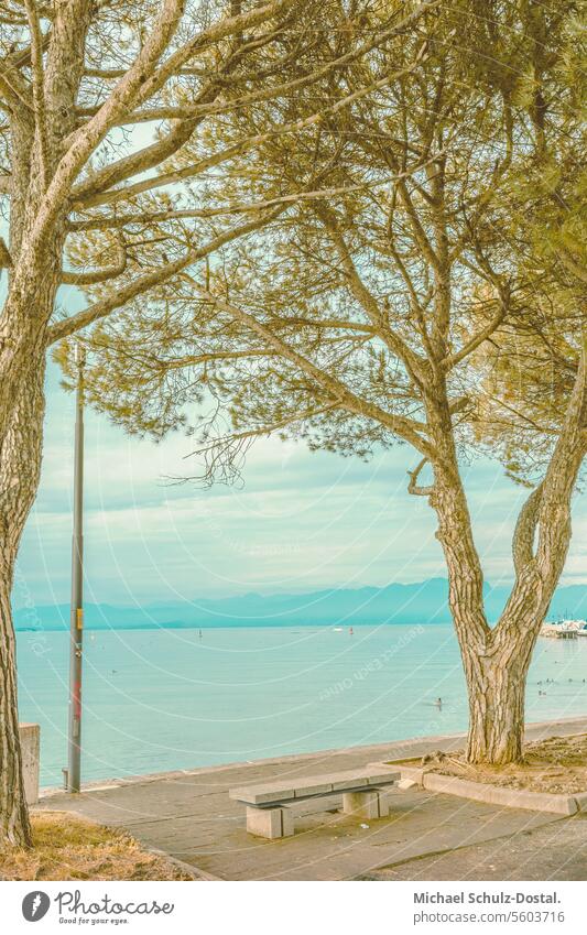 View of Lake Garda from the shores of Bardolino Lago Italy Lombardy Water Harbour seascape port picturesque lake view pastel Bench Stone pine bank