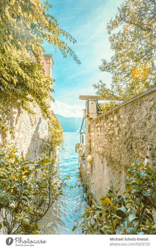 Romantic view past lime trees and quarry stone walls to Lake Garda Lago Italy Lombardy Water Harbour seascape port picturesque lake view pastel Limone
