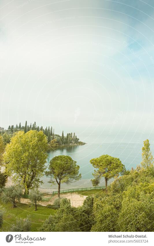 View of a picturesque bay on Lake Garda Lago Italy Lombardy Water Harbour seascape port lake view pastel Bay trees plants Fog Haze