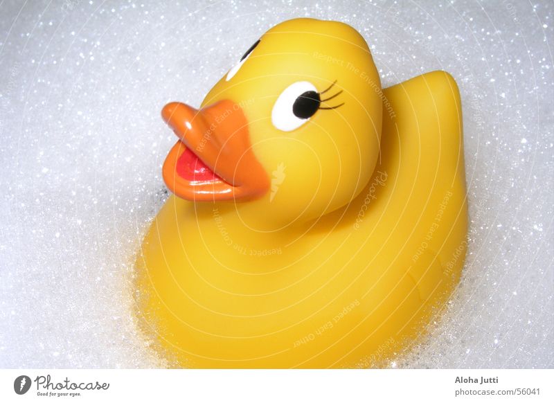 squeaky duck Squeak duck Yellow Foam Wet Swimming & Bathing Beak Relaxation Bathtub White Duck Joy ducky fun swim Blow Orange Water Float in the water Bubble