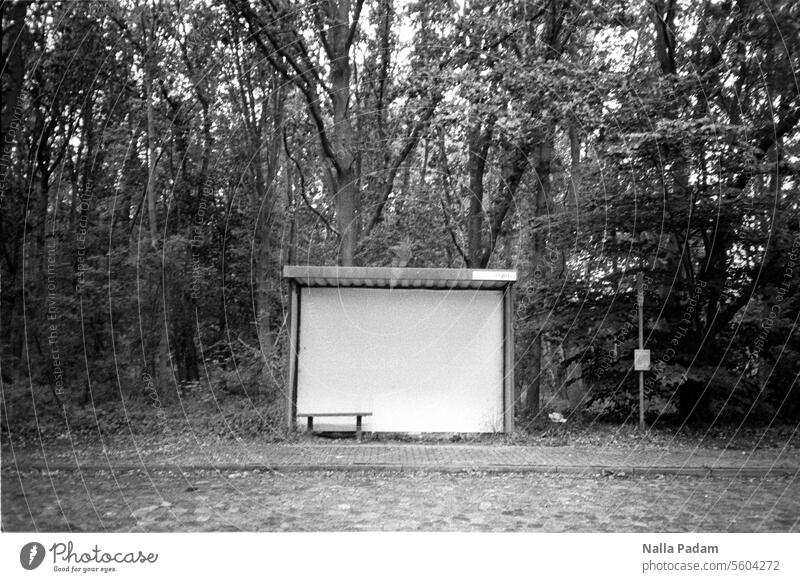 Bus stop on the B105 Analog Analogue photo B/W black-and-white Black & white photo Stop (public transport) Bus stop shelter Shelter Bench Forest