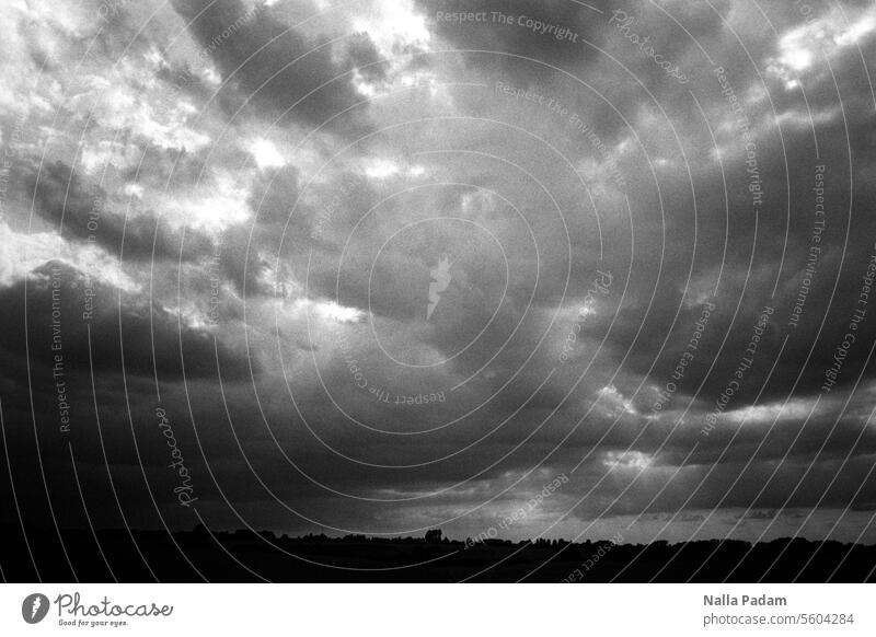 Gloomy sky Analog Analogue photo B/W black-and-white Black & white photo Landscape Sky cloudy Light Horizon somber Dark country Nature Exterior shot Mecklenburg
