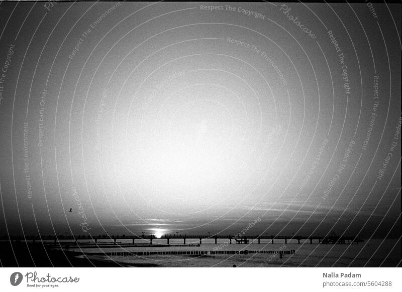 Sunset Kühlungsborn Analog Analogue photo B/W black-and-white Black & white photo Evening Twilight Summer Bridge Sea bridge Baltic Sea Water Light Exterior shot
