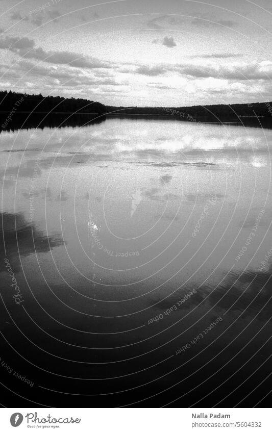 Stechlin 3 Analog Analogue photo B/W black-and-white Black & white photo Water Lake Forest Tree Nature Landscape Horizon Sky cloud reflection wide Brandenburg