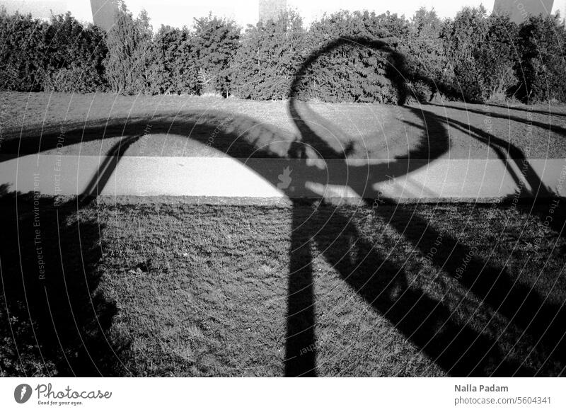 Shady curves Analog Analogue photo B/W Black & white photo black-and-white Art Shadow Curve Line The Ruhr Architecture Tree Sky Tiger & Turtle Light looping