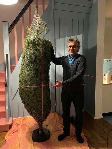 Laser-measured Christmas tree straighten Man Preparation