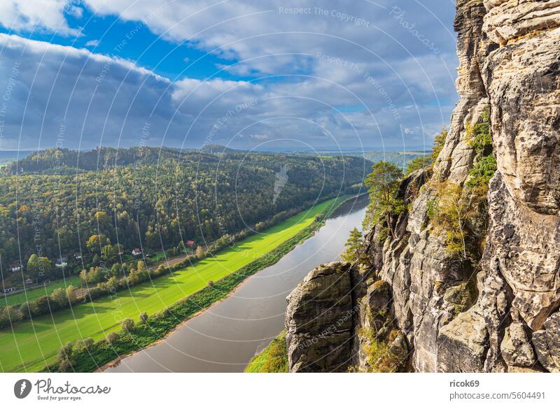 View over the Elbe to Saxon Switzerland Elbsandstone mountains River Bastei Tree Forest Saxony Nature Landscape Autumn Rock Water Sky Clouds Blue Green vacation